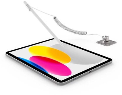 Attēls no Maclocks Compulocks Blokada zabezpieczajca CL01AP Srebrna