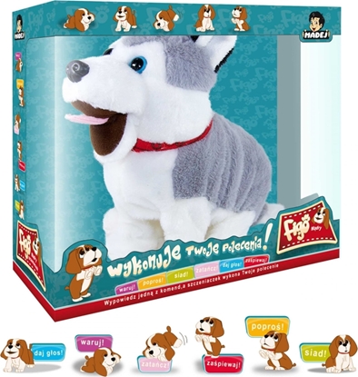 Picture of Madej Maskotka interaktywna Figo Pies reagujcy na komendy Husky