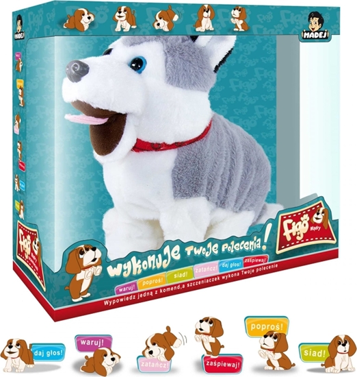 Picture of Madej Maskotka interaktywna Figo Pies reagujcy na komendy Husky