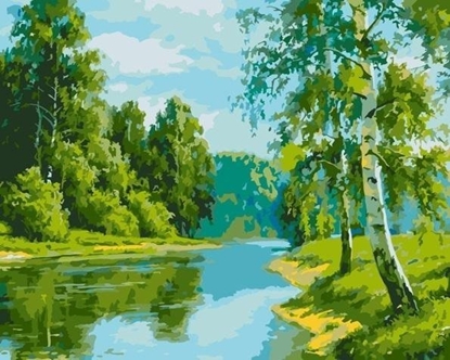 Picture of Malowanie po numerach - Brzozowa krawd 40x50cm