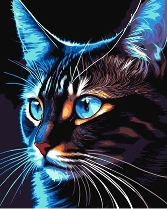 Picture of Malowanie po numerach - Cosmo-cat 40x50cm