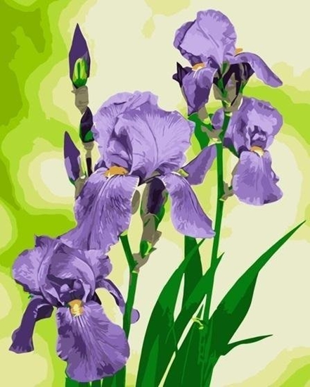 Picture of Malowanie po numerach - Irysy 40x50cm