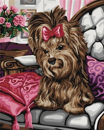 Attēls no Norimpex Malowanie po numerach - Yorkshire terrier 40x50cm