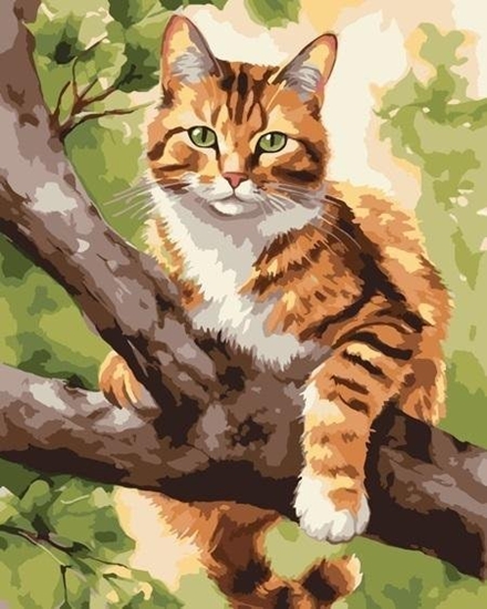 Picture of Malowanie po numerach - owca na drzewie 40x50cm