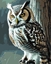 Изображение Malowanie po numerach - Mdra sowa 40x50cm