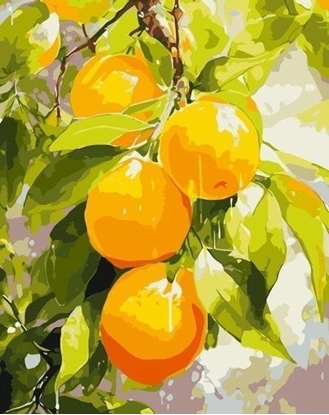Изображение Malowanie po numerach - Soczyste cytryny 40x50cm