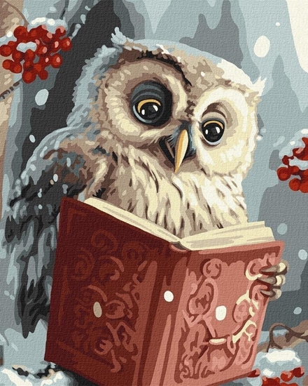 Изображение Malowanie po numerach - Sprytna sowa 40x50cm