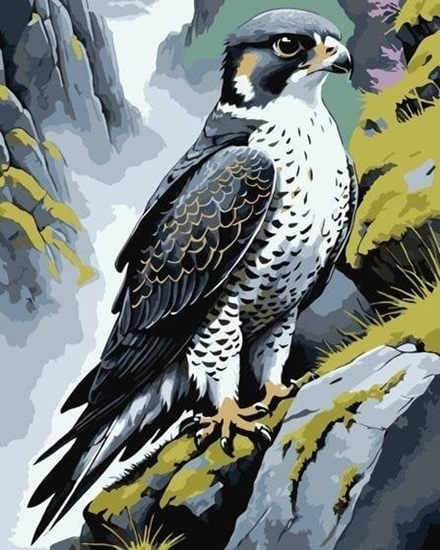 Picture of Malowanie po numerach - Wdrowiec na skale 40x50cm