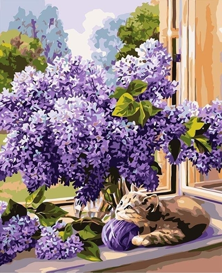 Picture of Malowanie po numerach 40x50 Bez