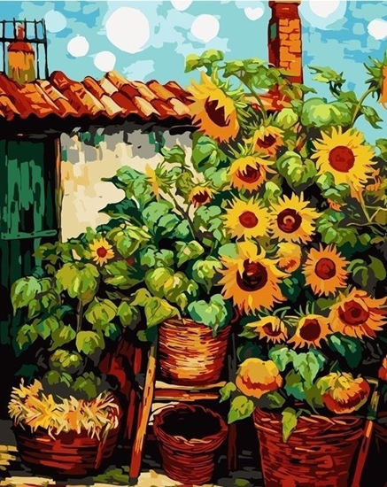 Picture of Malowanie po numerach 40x50 Soneczniki