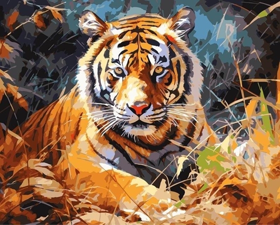 Picture of Koh I Noor Malowanie po numerach 40x50 Tygrys