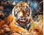 Изображение Koh I Noor Malowanie po numerach 40x50 Tygrys
