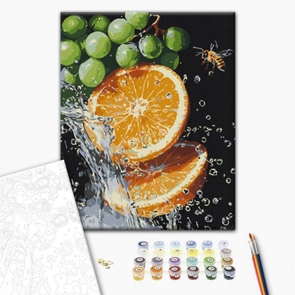 Attēls no Malowanie po numerach BRUSHME, 40x50 cm, soczysta kombinacja, 1 szt., w pudeku