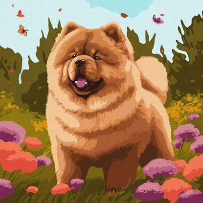Picture of Malowanie po numerach IDEYKA, 40x40 cm, uroczy chow chow, 1 szt.