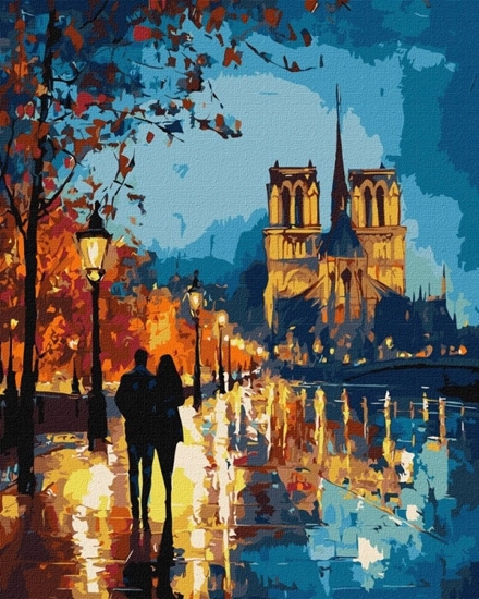 Picture of Malowanie po numerach IDEYKA, 40x50cm, metallic, nocny spacer, 1 szt., w pudeku