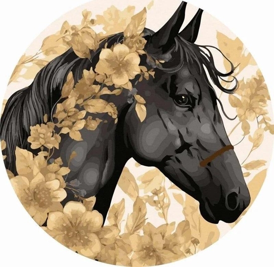 Picture of Malowanie po numerach okrge - Ko fryzyjski 40cm