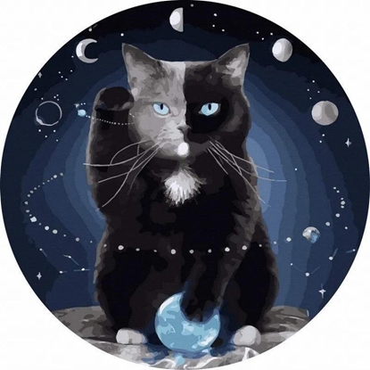 Picture of Malowanie po numerach okrge - Kot w kosmosie 40