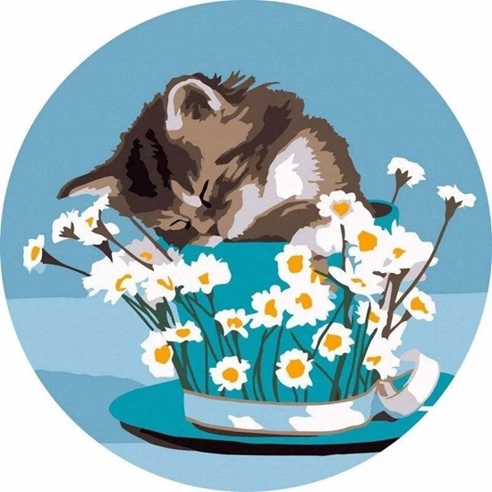 Picture of Malowanie po numerach okrge - Kotek i stokrotki