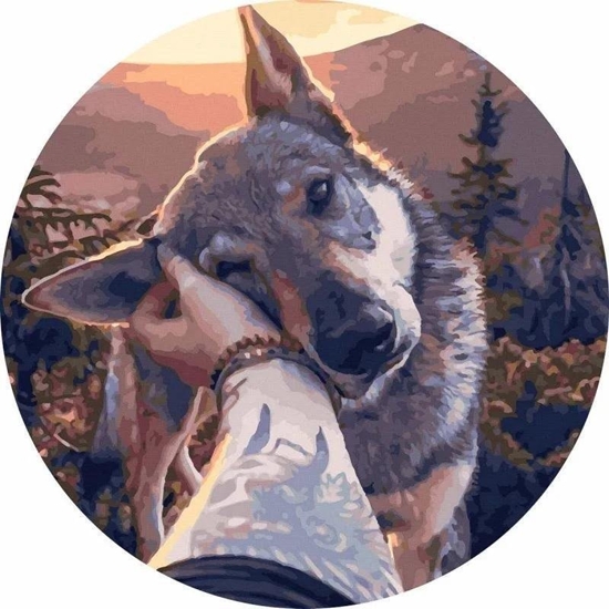 Picture of Malowanie po numerach okrge - Najlepszy... 40cm