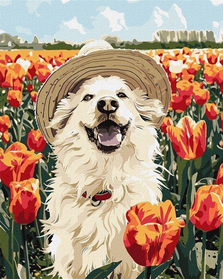 Picture of Malowanie po numerach -Szczliwy labrador 40x50cm