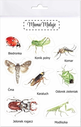 Picture of Mama Maluje Naklejki due Owady 1