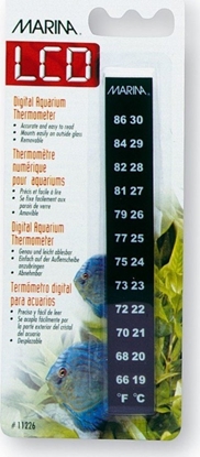 Изображение Marina Termometr elektroniczny Marina Minerva LCD
