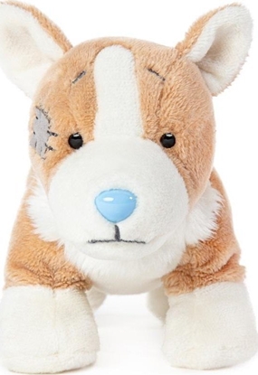 Attēls no Maskotka Corgi Queenie