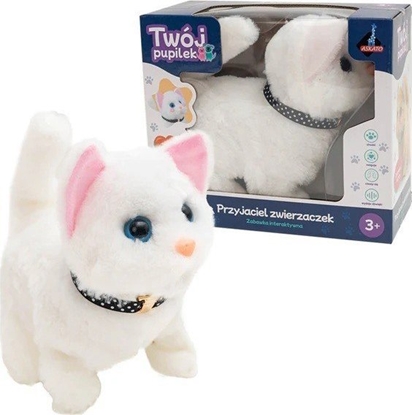 Picture of Maskotka interaktywna Twój pupilek - Kotek biay ASKATO