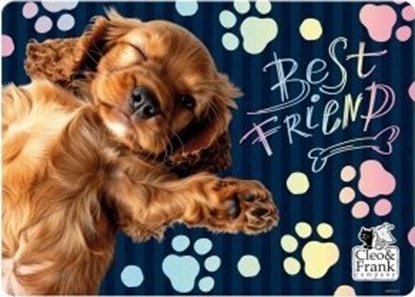 Attēls no MATA NA STOL PP 290X400 CLEO I FRANK 44 DERF