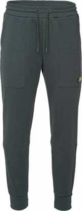 Picture of Mskie Spodnie REGIN III