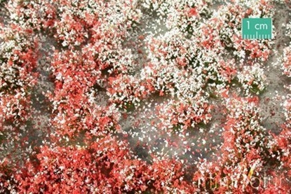 Picture of MiniNatur MiniNatur: Tuft - Letnia kwitnca rolinno 1 (15x4 cm)