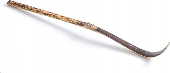 Picture of Moya Matcha Moya Chashaku - yeczka do matcha