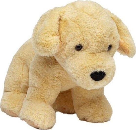 Picture of Molli Toys Pies Golden retriever 30 cm