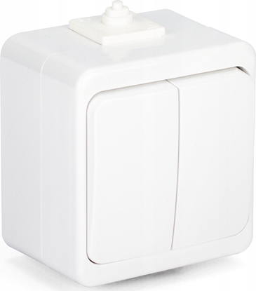 Attēls no Montis Wycznik instalacyjny wiecznikowy n/t 10A 250V WNT-2S Montis