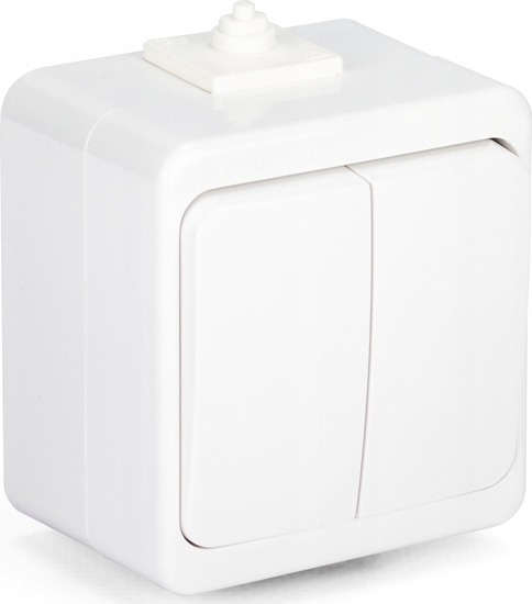 Picture of Montis Wycznik instalacyjny wiecznikowy n/t 10A 250V WNT-2S Montis