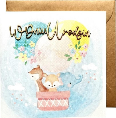 Picture of Naem KARNET RR DREW KW URODZ DZIEC ZWIER