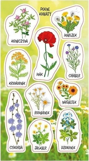 Picture of Naklejki Kwiaty polne