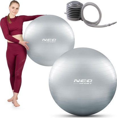 Picture of Neo-Sport Pika do wicze 75 cm NS-952 srebrna