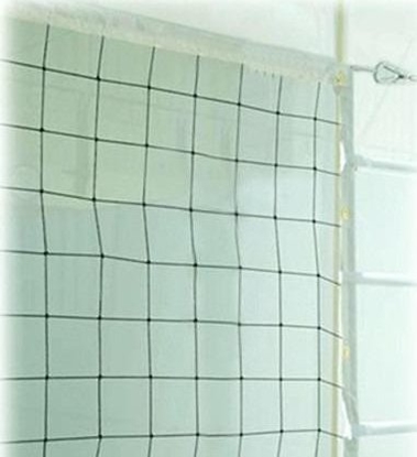 Picture of Netex Siatka do siatkówki treningowa biaa