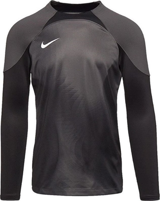 Picture of Nike Bluza Nike Gardien IV Goalkeeper JSY DH7967 060