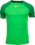 Attēls no Nike Koszulka Nike Academy Pro DH9225 329