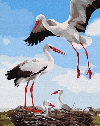 Picture of Norimpex Malowanie po numerach - Rodzina bocianów 40x50cm