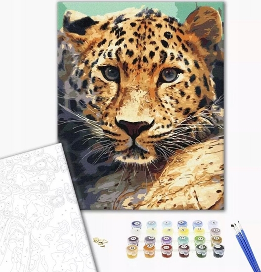 Picture of Norimpex Malowanie po numerach BRUSHME, 40x50 cm, portret lamparta, 1 szt.