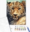 Picture of Norimpex Malowanie po numerach BRUSHME, 40x50 cm, portret lamparta, 1 szt.