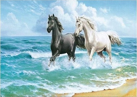 Picture of Norimpex Mozaika diamentowa 5D - Konie 40x30cm