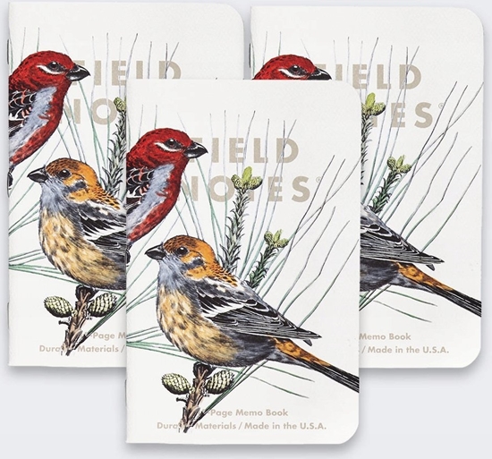 Изображение Notes Field Notes Birds and Trees of North America