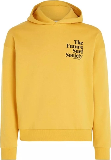 Изображение O Neill Damska Bluza FUTURE SURF SOCIETY HOODIE