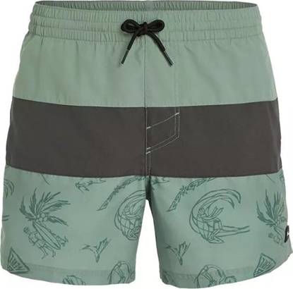 Изображение O Neill Mskie Szorty MIX & MATCH CALI BLOCK 15'' SWIM SHORTS