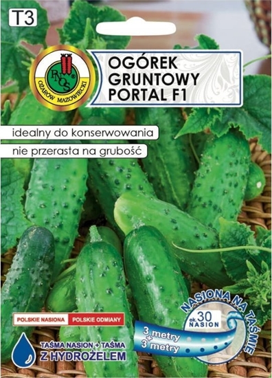 Picture of Ogórek Portal F1 tama 6m rednio wczesna odmiana do konserwowania