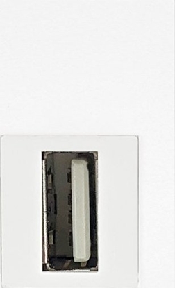 Picture of Orno NOEN USB data, gniazdo moduowe 22,5x45mm USB data 2.0, przelotka, biae